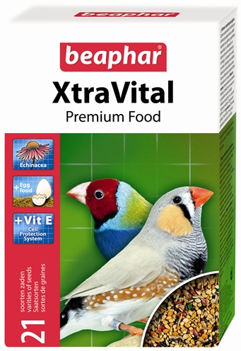 Xtravital tropische vogel