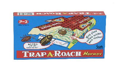 Hoy hoy trap-a-roach