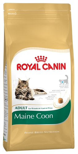 Royal canin maine coon