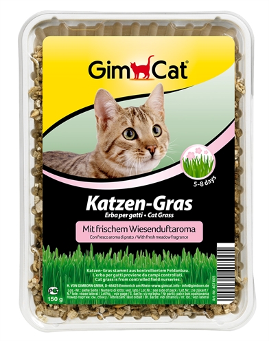 Gimcat kattengras