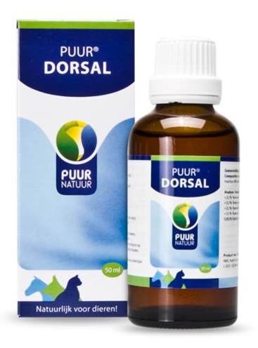 Puur dorsal (rug)