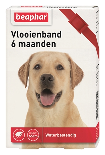 Beaphar vlooienband hond rood 6 mnd