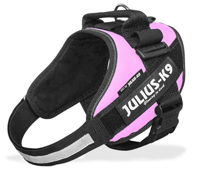 Julius k9 power-harnas/tuig voor labels roze