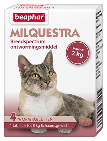 Beaphar milquestra kat