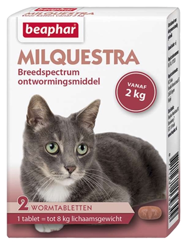 Beaphar milquestra kat