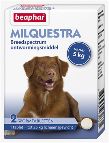 Beaphar milquestra hond