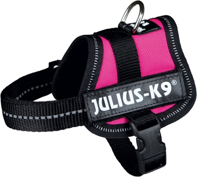 Julius k9 power-harnas / tuig voor labels fuchsia