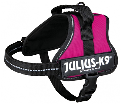 Julius k9 power-harnas / tuig voor labels fuchsia