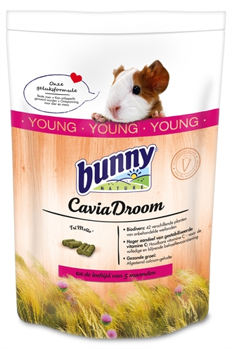 Bunny nature caviadroom young