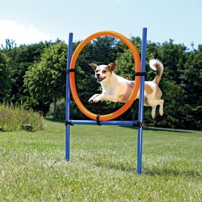 Trixie dog activity agility ring blauw / oranje