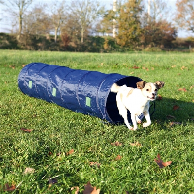 Trixie dog activity agility tunnel blauw