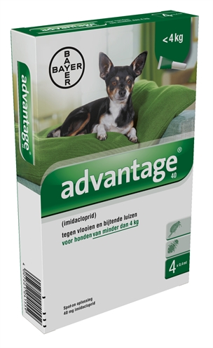 Bayer advantage hond 4 pipetten