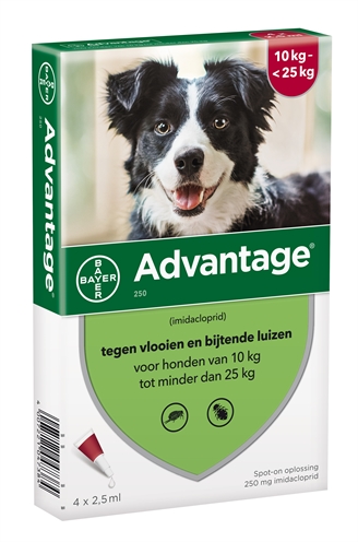 Bayer advantage hond 4 pipetten