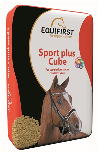 Equifirst sport plus cube