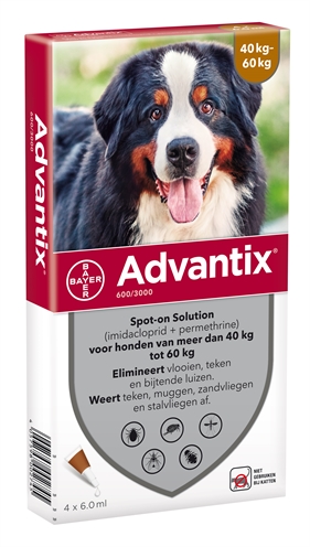 Bayer advantix spot on