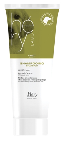 Hery shampoo puppy’s