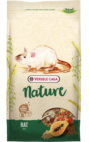 Versele-laga rat nature