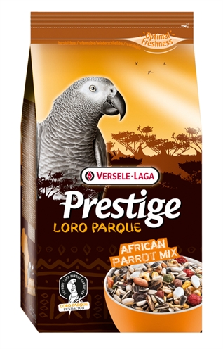 Prestige premium afrikaanse papegaai