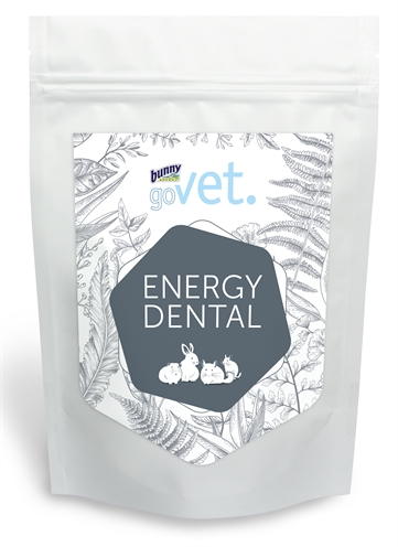 Bunny nature govet energy dental