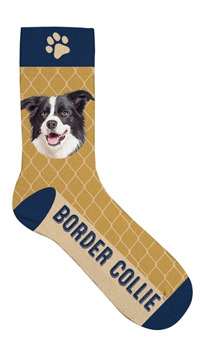 Sokken border collie