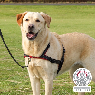 Trixie hondentuig trainingstuig lead’n’walk soft zwart