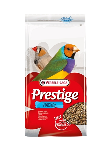 Prestige tropische vogel