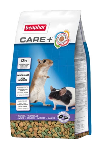 Care+ gerbil