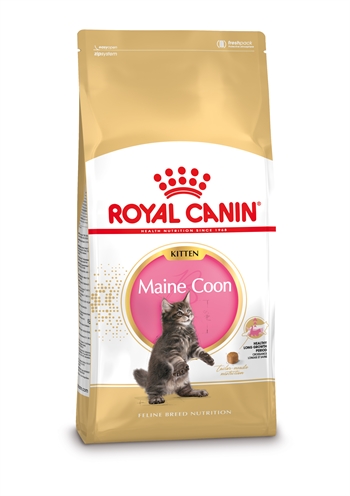 Royal canin kitten maine coon