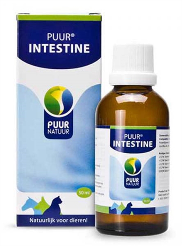 Puur natuur intestine (darm)