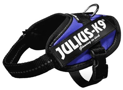 Julius k9 power-harnas/tuig voor labels blauw