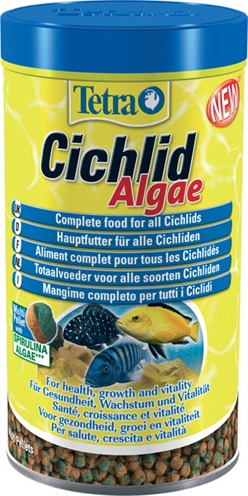 Tetra cichlid algae