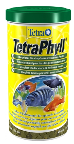 Tetra phyll