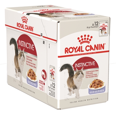 Royal canin instinctive in jelly