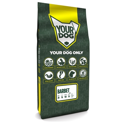 Yourdog barbet pup (12 KG)