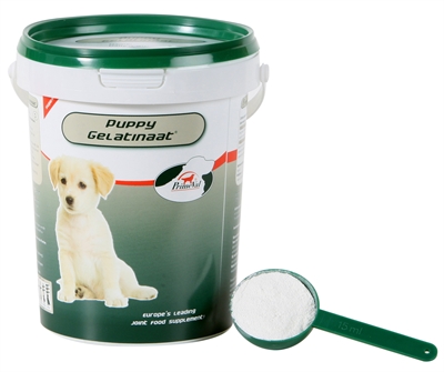 Primeval gelatinaat puppy (350 GR)