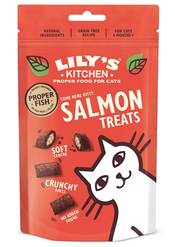 Lily’s kitchen salmon treats (60 GR)